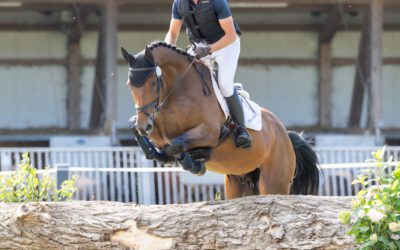 Partner für die Zukunft