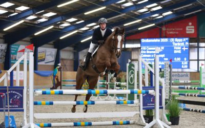 Interessante Allrounderin